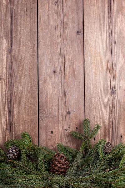 Branches d'arbre de Noël avec des bosses — Photo