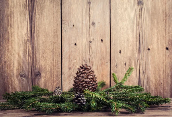 Ramos de árvore de Natal com solavancos — Fotografia de Stock