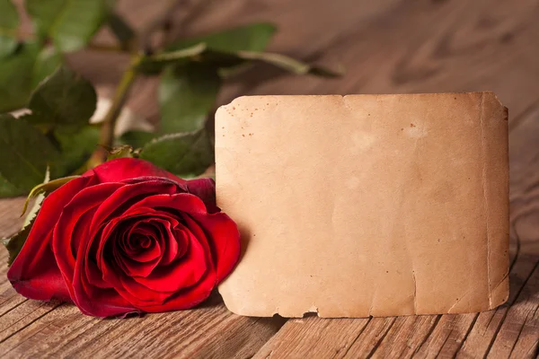 Red rose with old paper — Stock Photo, Image