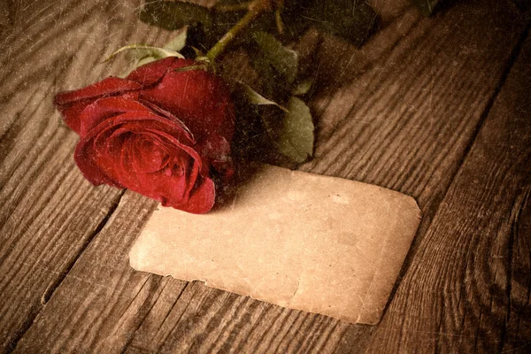 Red rose with old paper — Stock Photo, Image