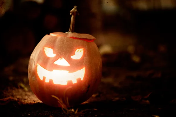 Halloween jack-o-lucerna — Stock fotografie