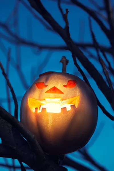 Halloween Jack-o-laterne — Stockfoto