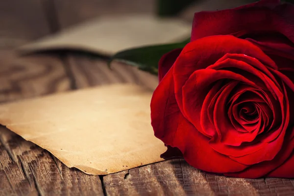 Rosa roja sobre fondo de madera — Foto de Stock