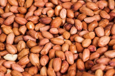 yakın çekim yansıma fıstık