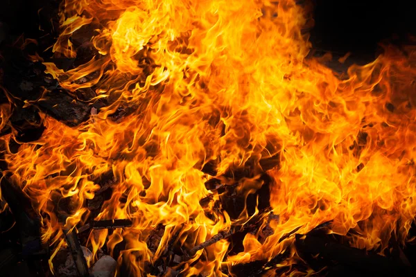 Blaze fire flame — Stock Photo, Image