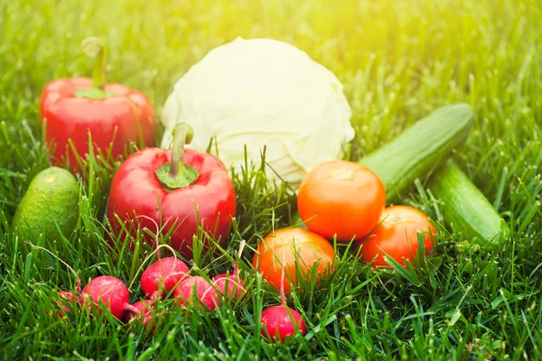 Fresh vegetables — Stock Photo, Image