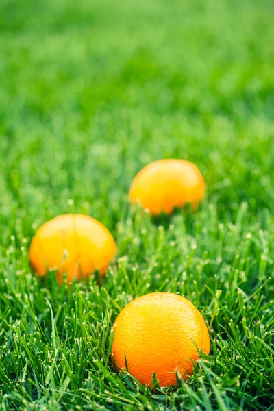 Свіжі апельсинів — стокове фото