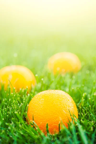 Fresh oranges — Stock Photo, Image