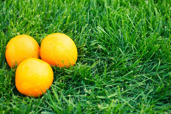 Fresh oranges — Stock Photo, Image