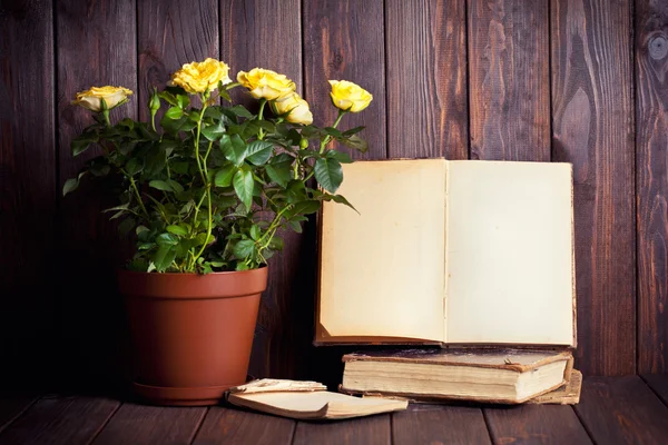 Rose gialle e vecchi libri — Foto Stock