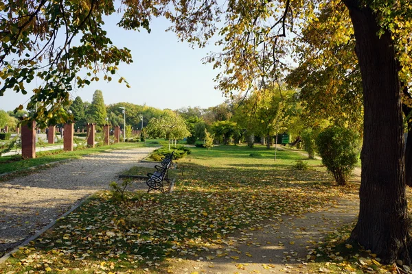 Höstens färger i parken — Stockfoto