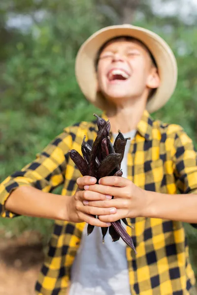 収穫期に手に持っている若い男の子のキャロットポッド — ストック写真