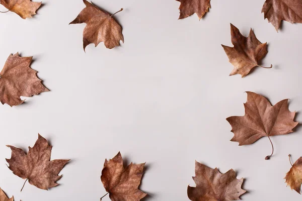 Hösten faller bakgrund med blad, kopiera utrymme — Stockfoto