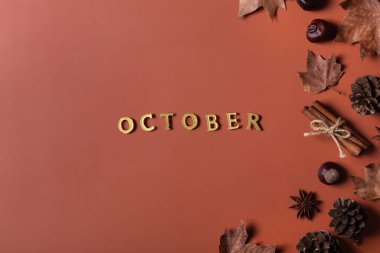 Sonbahar sonbaharı Ekim kompozisyonu dekoratif kurumuş yapraklarla