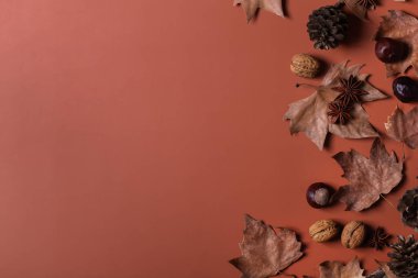 Sonbahar, Şükran Günü kompozisyonu. Dekoratif kurumuş yapraklar.