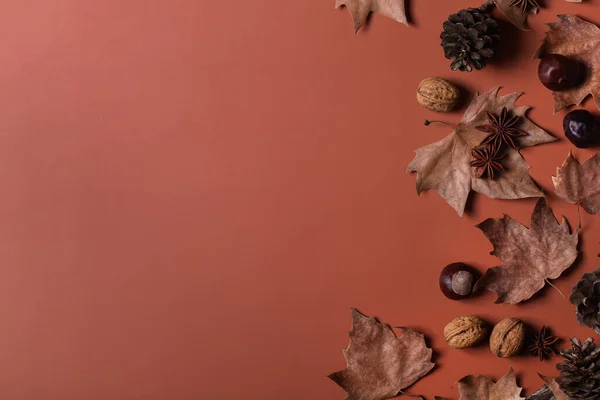 Höstens höst Thanksgiving dag sammansättning med dekorativa torkade blad — Stockfoto