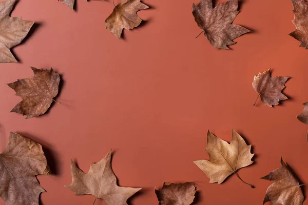 Höstens höst Thanksgiving dag sammansättning med dekorativa torkade blad — Stockfoto