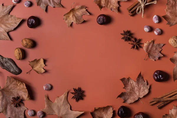 Höstens höst Thanksgiving dag sammansättning med dekorativa torkade blad — Stockfoto