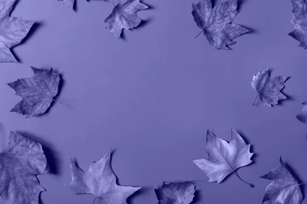 Höstens höst Thanksgiving dag sammansättning med dekorativa torkade blad — Stockfoto
