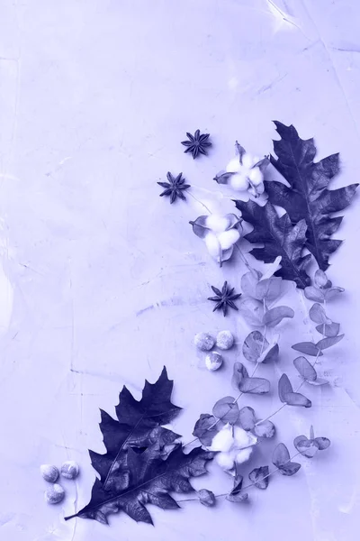 Kreativ höst Thanksgiving dag komposition med dekorativa blad — Stockfoto
