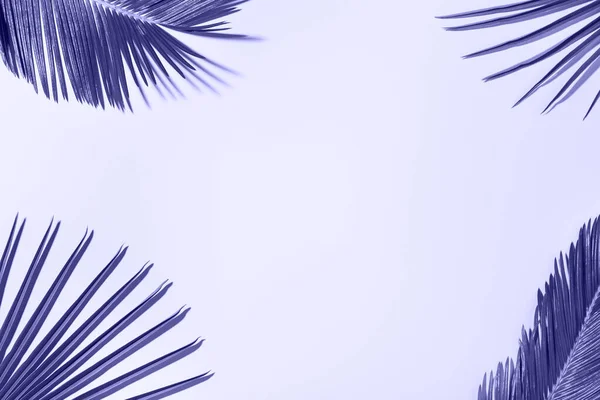 Feuilles de palmier tropical fond, vacances vacances d'été concept — Photo