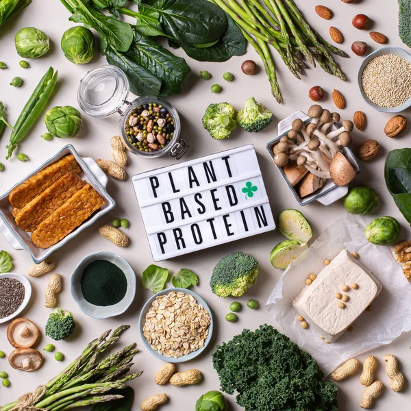 Různorodost veganských, rostlinných bílkovinných potravin — Stock fotografie