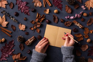 Sonbahar sonbaharı Şükran Günü kompozisyonu ve dekoratif kuru yapraklar. Deftere yazı yazan kadın elleri. Düz konum, yukarıdan görünüm, karşılama kartı için yaşam mevsimsel arkaplan, kopyalama alanı