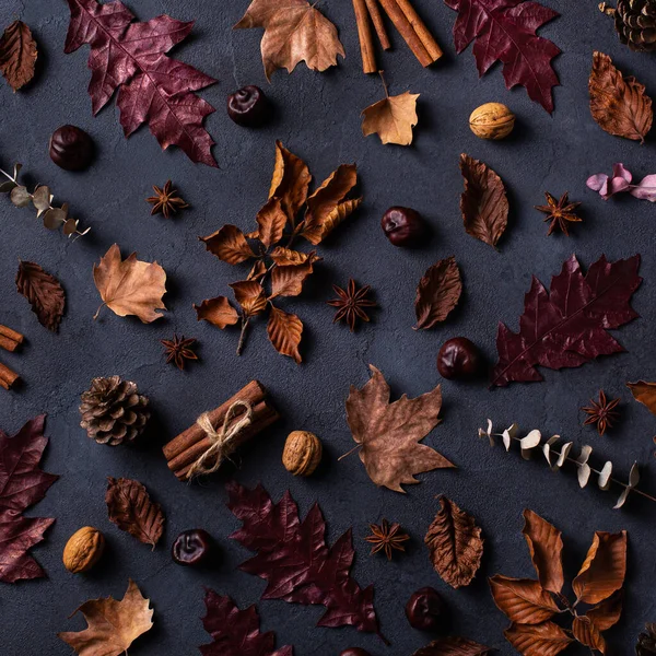 Hösten Höst Thanksgiving Dag Komposition Med Dekorativa Torkade Blad Platt — Stockfoto