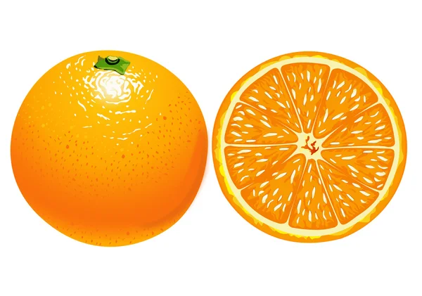 Nagy részletességgel vektoros illusztráció narancs — Stock Vector