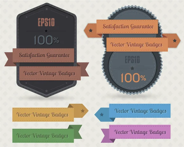 Badges vintage design vectoriel — Image vectorielle