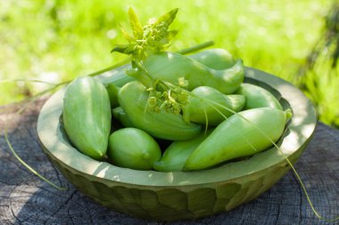 Achocha, Cyclanthera pedata sağlıklı sebzeler ahşap bir kasede. Yeşil doğa arkaplanı.