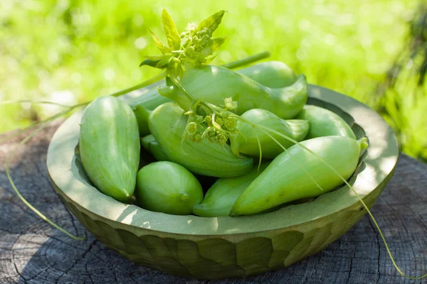 Achocha, Cyclanthera pedata healthy vegetables in wooden bowl on wooden log. Green nature background.