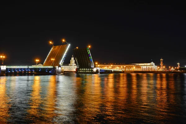 St. Petersburg, Palace Bridge — Stok fotoğraf