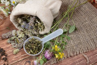 Kuru çay çeşitleri ve otlar. Tahta kaşıklardaki farklı çay çeşitleri, köy tarzı, ahşap arka plan..