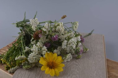 Otların toplanması, ahşap arka planda taze bahçe bitkisi. Köy mutfak masasında pişirmek için taze kokulu organik otlar.