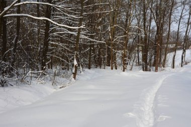 Karda insan ayağı izleri var. Karda ayak izleri var. Kış dönemi. Karla kaplı doğa. Tek başına dolaşıyorsun. Kar yolu.