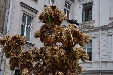 Lviv, Ukrayna - Ocak 2021: Didukh, Ukrayna 'da Noel' i kutlamak için kullanılan bir buğday demeti. Antik gelenekler, seçici odaklanma