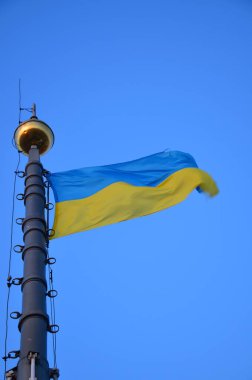 Binanın ön cephesinde Ukrayna 'nın sarı-mavi bayrağı. Lviv, Ukrayna. Lviv 'deki belediye binasında Ukrayna bayrağı var..