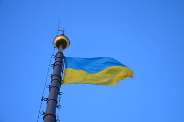 Binanın ön cephesinde Ukrayna 'nın sarı-mavi bayrağı. Lviv, Ukrayna. Lviv 'deki belediye binasında Ukrayna bayrağı var..