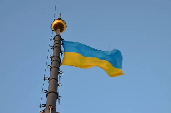 Желто Синий Флаг Украины Фасаде Здания Львов Украина Флаг Украины — стоковое фото