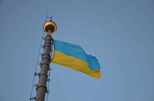 Kelta Sininen Lippu Ukrainan Julkisivulla Rakennuksen Lviv Ukraina Ukrainan Lippu — kuvapankkivalokuva