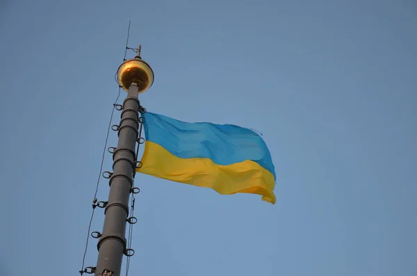 Bandera Amarillo Azul Ucrania Fachada Del Edificio Lviv Ucrania Bandera —  Fotos de Stock