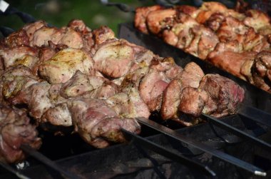 Marine, Barbekü ızgarası üzerinde kömür üzerine hazırlanıyor. Doğu Avrupa 'da popüler olan shashlik veya Shish Kebab. Shashlyk (skewered et) aslında kuzu yapılmıştır.