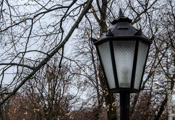 Vintage Straßenlaterne Park — Stockfoto