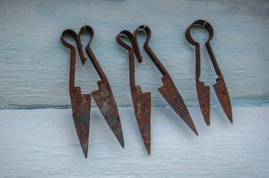 Tahta rafta eski moda koyun tüyü makasları.