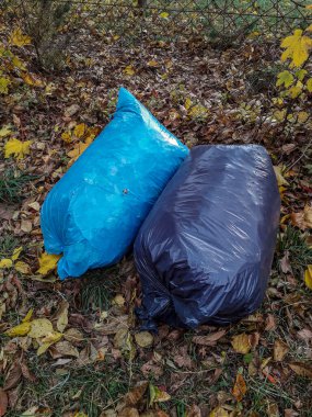 Mahallede yaprakları dolduran siyah çöp torbaları. Sonbahar yapraklarını temizlemek için çok sayıda siyah çöp torbası.