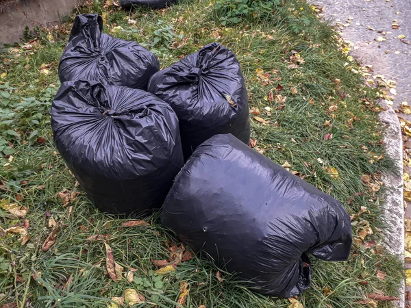 Black garbage bags filled wih leaves outside in neighborhood .Plastic bags with fallen leaves .Many black garbage bags for cleaning autumn leaves