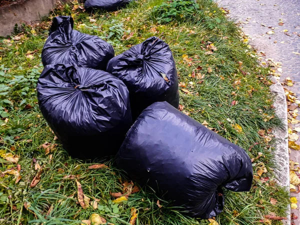 Black garbage bags filled wih leaves outside in neighborhood .Plastic bags with fallen leaves .Many black garbage bags for cleaning autumn leaves