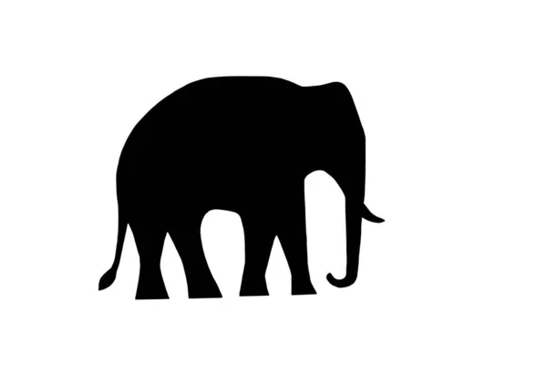 Schwarzer Elefant Silhouette Asien Walking Wild African Elephant Silhouette — Stockfoto