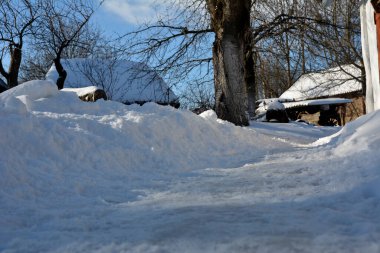 Patika kardan temizlendi. Kar yığınlarına yakın. Yoldaki taze kedi izleri kardan temizlendi, kar yığınlarının arka planında, soğuk bir kış gününde.